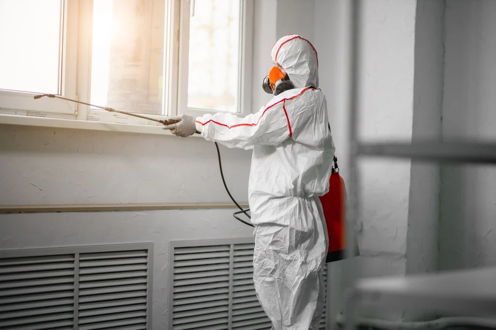 Professional mold remediation services in Wallington, NJ
